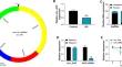 CircRNA Arf3 suppresses glomerular mesangial cell proliferation and fibrosis in diabetic nephropathy via miR-107-3p/Tmbim6 axis.