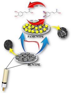 Detection of caffeic acid using a nanotube paste-based electrochemical sensor