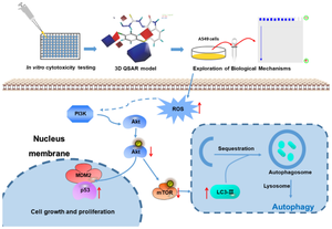 Synthesis of novel 4-substituted isatin Schiff base derivatives as potential autophagy inducers and evaluation of their antitumour activity.