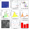 Tuning the electronic structure of monolayer MoS2 towards metal like via vanadium doping