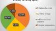 Analysis of plasmid and its role in phytopathogenic bacteria Xanthomonas citri pv. viticola strains