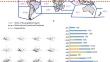 The global pattern of epiphytic liverwort disparity: insights from Frullania.