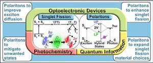 Excitons and polaritons in singlet fission materials: Photophysics, photochemistry, and optoelectronics