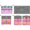 Mitigating variability in epitaxial-heterostructure-based spin-qubit devices by optimizing gate layout