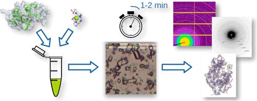 Nucleating Agent Crystallophore Induces Instant Protein Crystallization