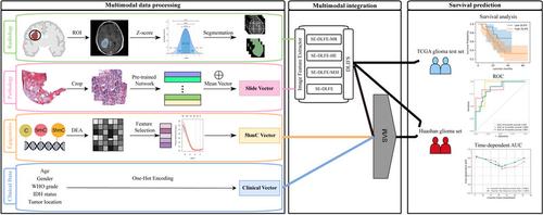 Multimodal data integration using deep learning predicts overall survival of patients with glioma