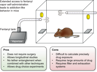 Opioid inhalation in mice as a model to investigate biological drivers of the opioid crisis.