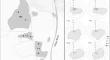 Stratification and respiration dynamics in shallow ponds: insights from continuous temperature measurements