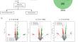 A time series transcriptome profiling of host cell responses to Newcastle disease virus infection