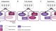 Cross-modal interactions in language production: evidence from word learning.