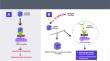 In silico screening and evaluation of antiviral peptides as inhibitors against ORF9b protein of SARS-CoV-2.