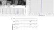 Diclofenac Sodium and Gentamicin Co-Encapsulated PLGA Nanoparticles: Targeting Extracellular Matrix Components to Combat Biofilm Formation in Pseudomonas aeruginosa PAO1