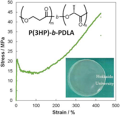 Biosynthesis of High Toughness Poly(3‐Hydroxypropionate)‐Based Block Copolymers With Poly(D‐2‐Hydroxybutyrate) and Poly(D‐Lactate) Segments Using Evolved Monomer Sequence‐Regulating Polyester Synthase