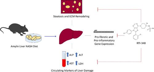 Novel Peripherally Selective Cannabinoid Receptor 1 Neutral Antagonist Improves Metabolic Dysfunction-Associated Steatotic Liver Disease in Mice