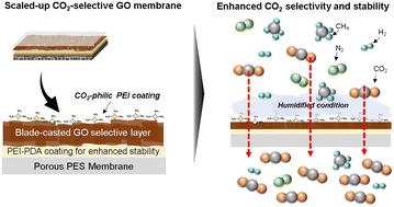 Scaling-up CO2-selective graphene oxide membranes via sequential coating with gelated graphene oxide and polyethyleneimine for CO2 separation†