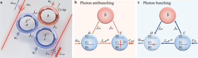 Loss-induced quantum nonreciprocity