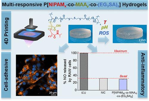 Multiresponsive 4D Printable Hydrogels with Anti-Inflammatory Properties.