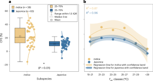 Rising atmospheric carbon dioxide concentrations increase gaps of rice yields between low- and middle-to-high-income countries