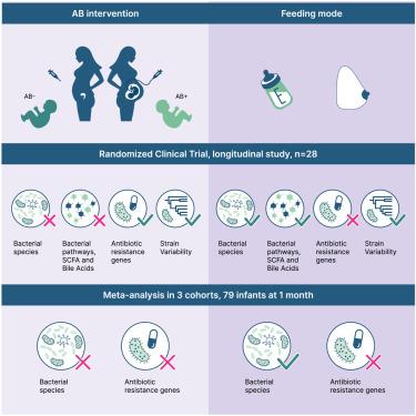 Maternal antibiotic prophylaxis during cesarean section has a limited impact on the infant gut microbiome