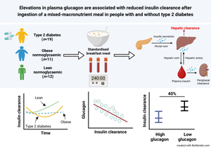 Elevations in plasma glucagon are associated with reduced insulin clearance after ingestion of a mixed-macronutrient meal in people with and without type 2 diabetes.