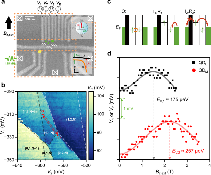 Coherence of a field gradient driven singlet-triplet qubit coupled to multielectron spin states in 28Si/SiGe