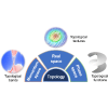 Double-leaf Riemann surface topological converse magnetoelectricity
