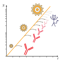 Nonequilibrium Antigen Recognition during Infections and Vaccinations