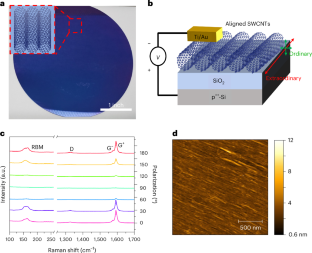 Gate-tunable optical anisotropy in wafer-scale, aligned carbon nanotube films