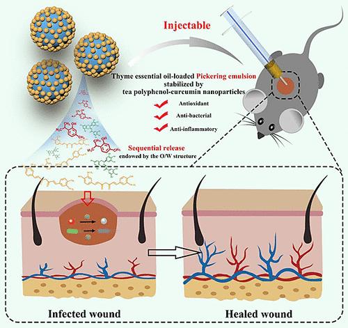 Microenvironment-Responsive Antibacterial, Anti-Inflammatory, and Antioxidant Pickering Emulsion Stabilized by Curcumin-Loaded Tea Polyphenol Particles for Accelerating Infected Wound Healing.