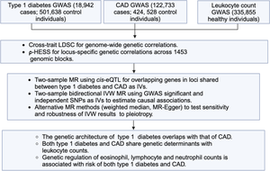 Genetic relations between type 1 diabetes, coronary artery disease and leukocyte counts.