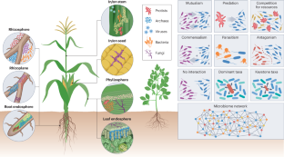 Harnessing the plant microbiome for sustainable crop production