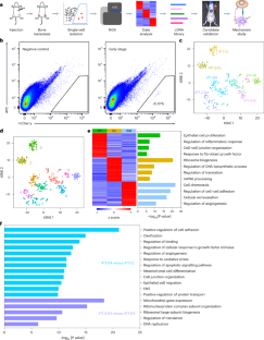 Lymphotoxin-β promotes breast cancer bone metastasis colonization and osteolytic outgrowth