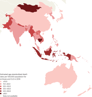 Liver diseases and hepatocellular carcinoma in the Asia-Pacific region: burden, trends, challenges and future directions