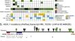 ASXL1 inactivation and reduced H3K27me3 across central nervous system tumors