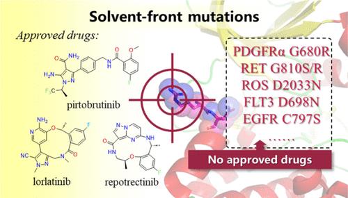 Targeting Solvent-Front Mutations for Kinase Drug Discovery: From Structural Basis to Design Strategies.