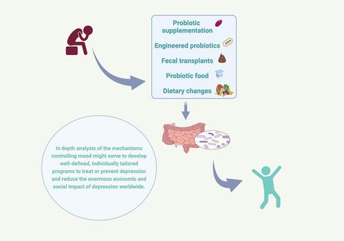 Intestinal Barrier, Immunity and Microbiome: Partners in the Depression Crime.