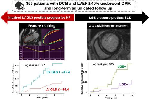 Precision prediction of heart failure events in patients with dilated cardiomyopathy and mildly reduced ejection fraction using multi-parametric cardiovascular magnetic resonance.