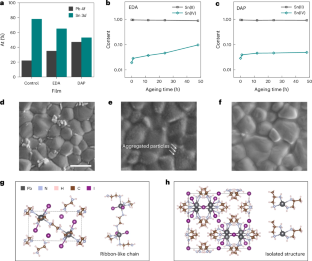 Diamine chelates for increased stability in mixed Sn–Pb and all-perovskite tandem solar cells