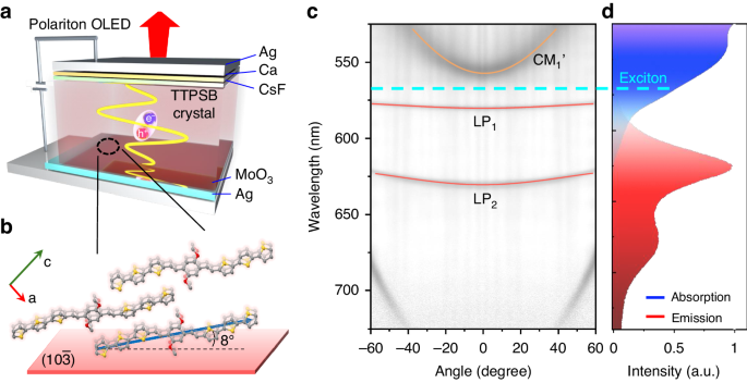 Organic polaritonic light-emitting diodes with high luminance and color purity toward laser displays