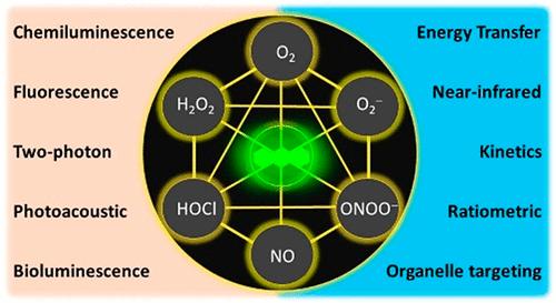 Ex Tenebris Lux: Illuminating Reactive Oxygen and Nitrogen Species with Small Molecule Probes.