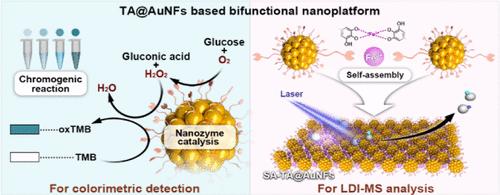 Engineering a Bifunctional Smart Nanoplatform Integrating Nanozyme Activity and Self-Assembly for Kidney Cancer Diagnosis and Classification.