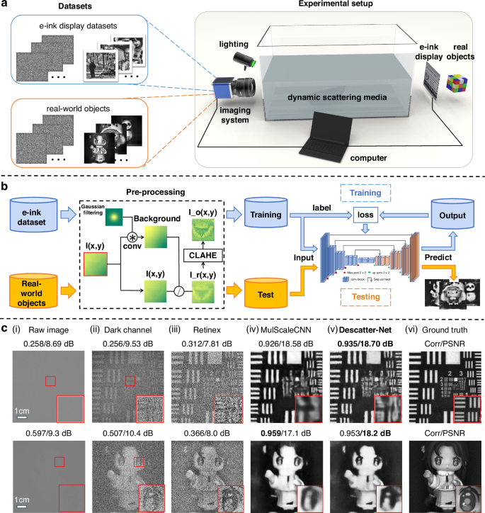 Learning-based real-time imaging through dynamic scattering media