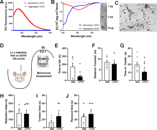 Abatacept inhibits Th17 differentiation and mitigates α-synuclein-induced dopaminergic dysfunction in mice