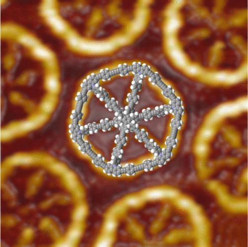 From π-Conjugated Rods to Shape-Persistent Rings, Wheels, and Ladders: The Question of Rigidity.