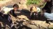 Preschool Engineering Play on Nature Playscapes