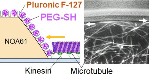 Surface Passivation of Norland Optical Adhesive Improves the Guiding Efficiency of Gliding Microtubules in Microfluidic Devices.