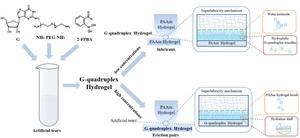 Simple and effective: Superlubricity behaviour of the G-quadruplex hydrogel with high selectivity for K+ ions based on the ocular environment