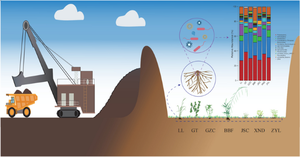 Analysis of heavy metal content and microbial characteristics in the pioneer plant soil system of typical manganese tailing ponds in Guangxi