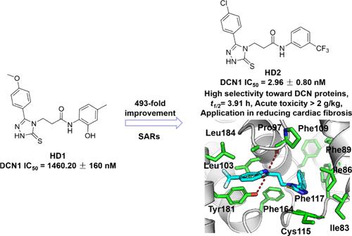 Discovery of 1,2,4-Triazole-3-thione Derivatives as Potent and Selective DCN1 Inhibitors for Pathological Cardiac Fibrosis and Remodeling.