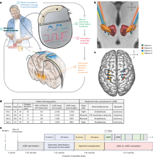 Chronic adaptive deep brain stimulation versus conventional stimulation in Parkinson’s disease: a blinded randomized feasibility trial